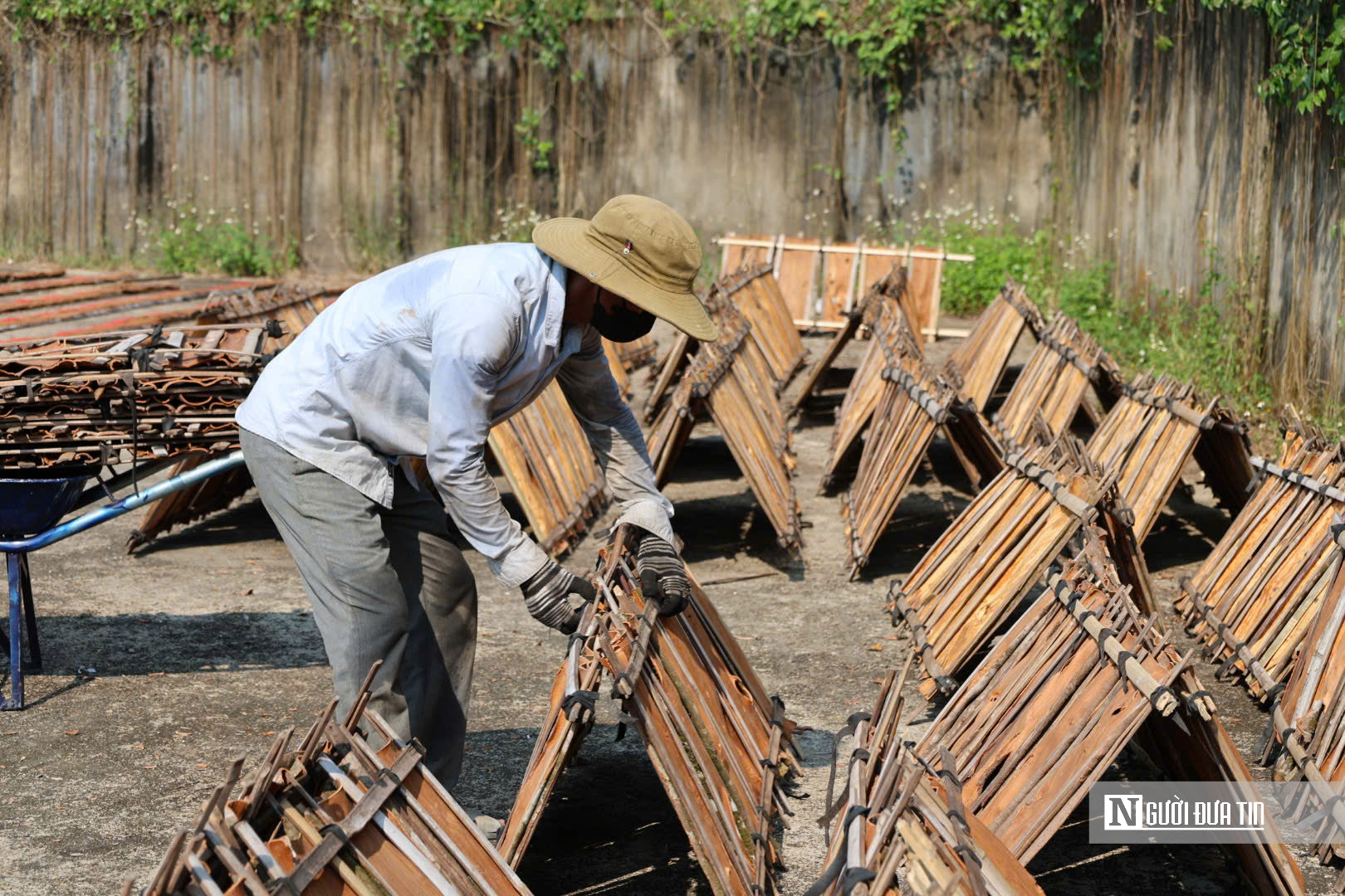 Đ&oacute;n &ldquo;lộc rừng&rdquo;, người d&acirc;n miền n&uacute;i Quảng Ng&atilde;i rộn r&agrave;ng m&ugrave;a thu hoạch- Ảnh 4.