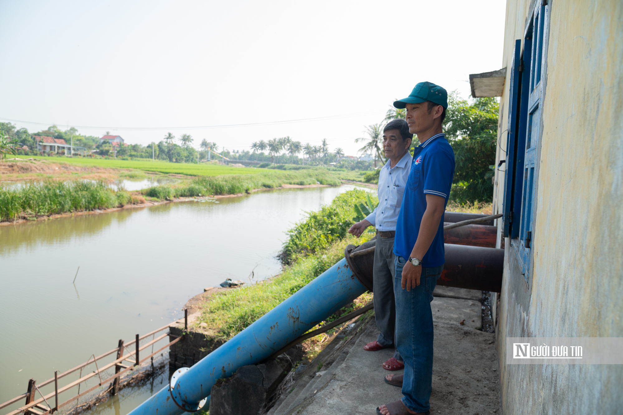 Đắk Lắk khẳng định không để lúa chết khô, duy trì các trạm bơm 24/24 đưa nước về các xứ đồng hạn- Ảnh 3. Đắk Lắk khẳng định không để lúa chết khô, duy trì các trạm bơm 24/24 đưa nước về các xứ đồng hạn- Ảnh 3.