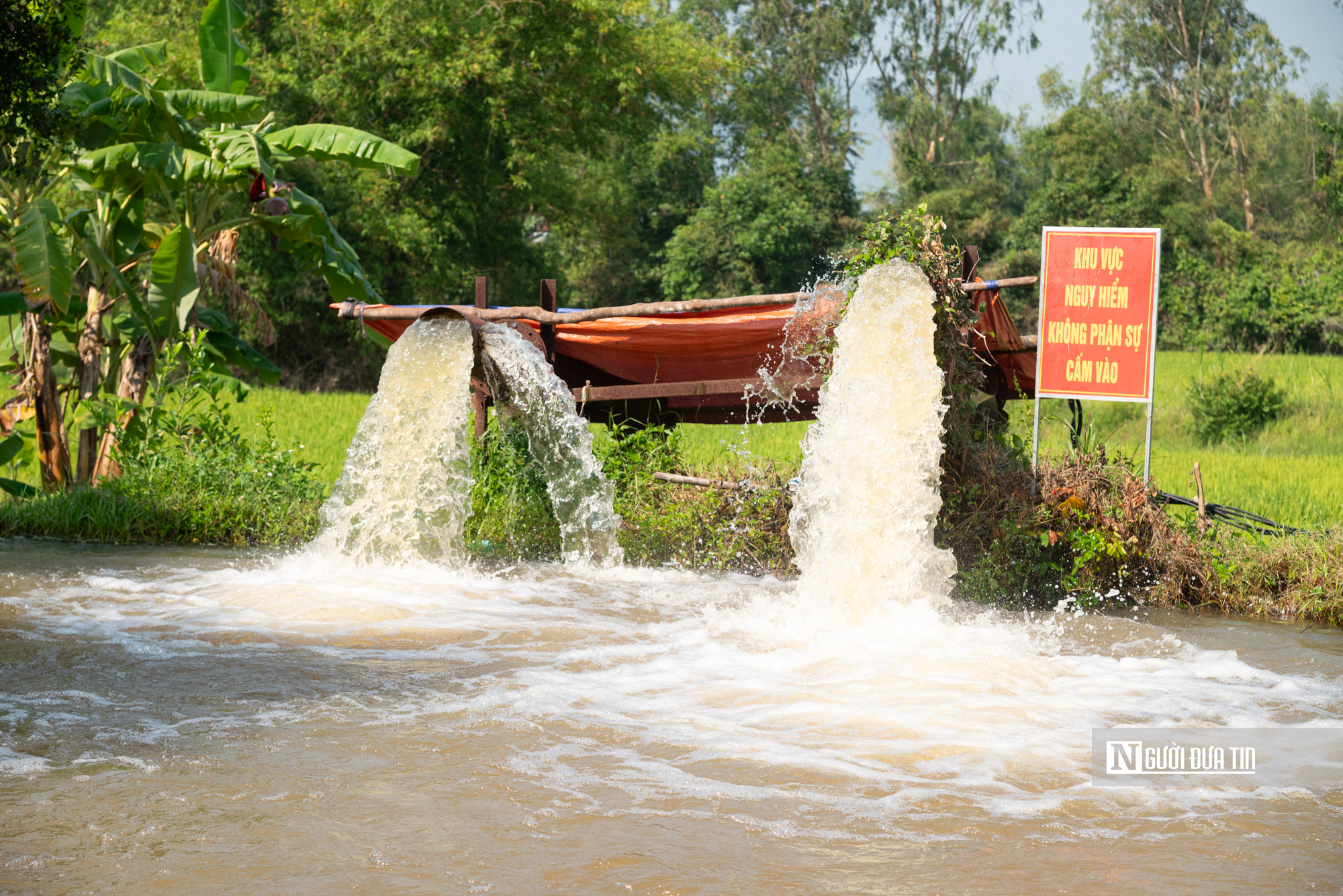 Đắk Lắk khẳng định không để lúa chết khô, duy trì các trạm bơm 24/24 đưa nước về các xứ đồng hạn- Ảnh 9. Đắk Lắk khẳng định không để lúa chết khô, duy trì các trạm bơm 24/24 đưa nước về các xứ đồng hạn- Ảnh 9.