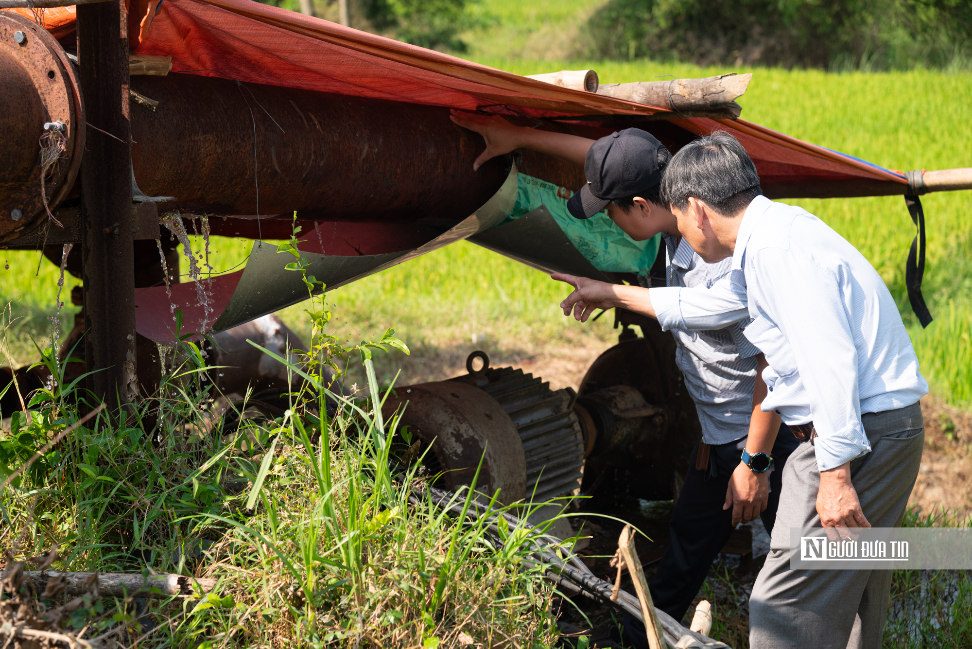 Đắk Lắk khẳng định không để lúa chết khô, duy trì các trạm bơm 24/24 đưa nước về các xứ đồng hạn- Ảnh 10. Đắk Lắk khẳng định không để lúa chết khô, duy trì các trạm bơm 24/24 đưa nước về các xứ đồng hạn- Ảnh 10.