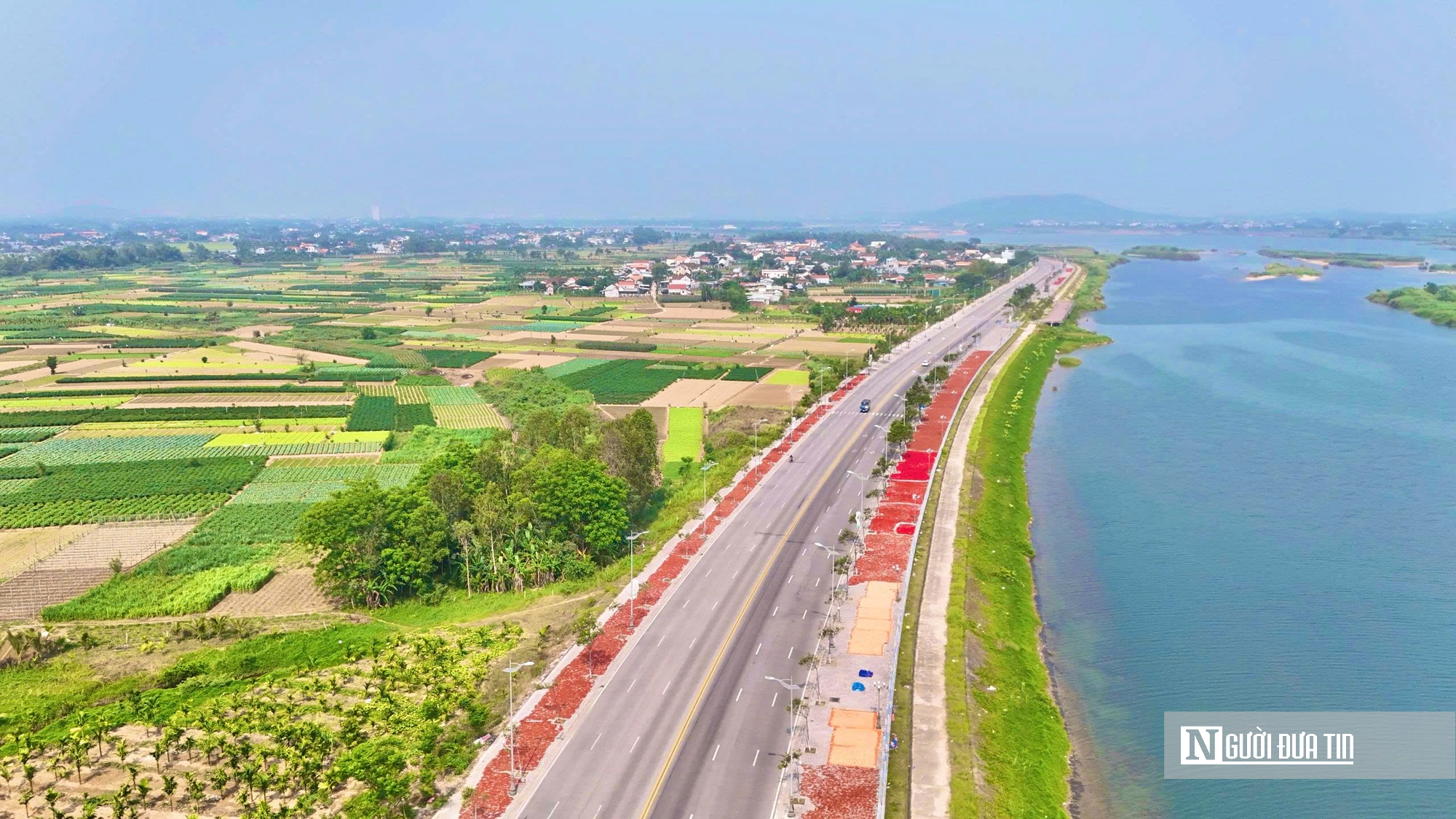 Được mùa mất giá, người trồng ớt Quảng Ngãi “ngồi trên lửa”- Ảnh 7.