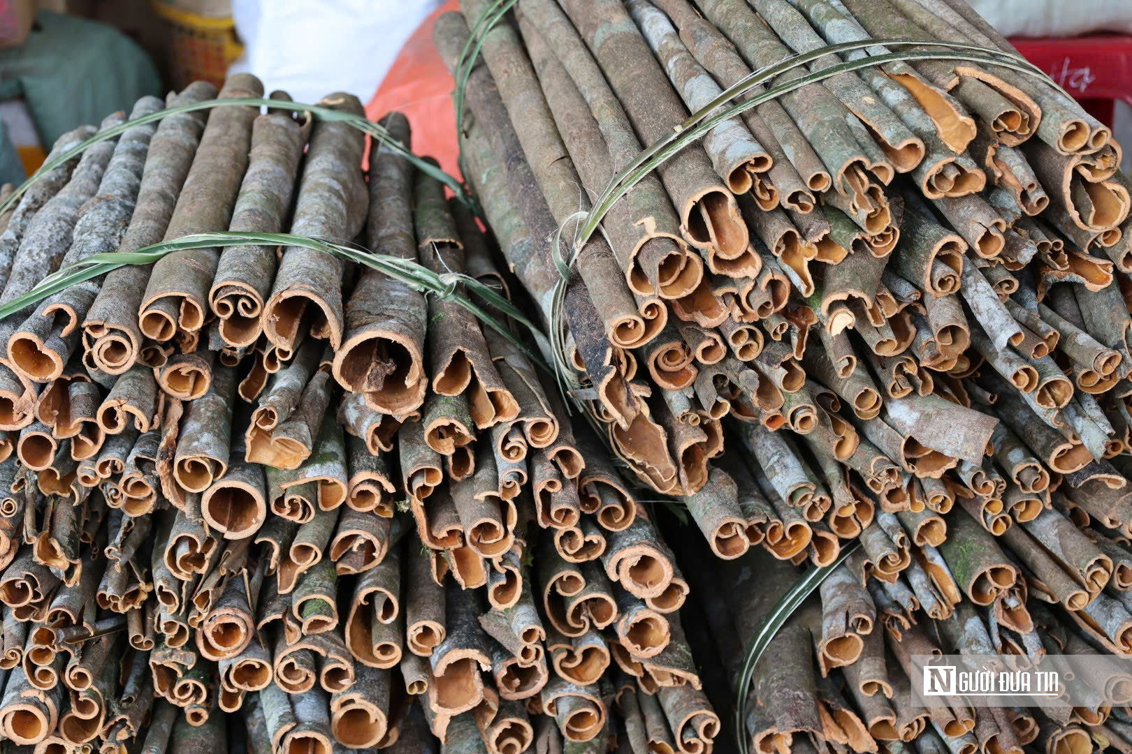 Đón “lộc rừng”, người dân miền núi Quảng Ngãi rộn ràng mùa thu hoạch- Ảnh 5.