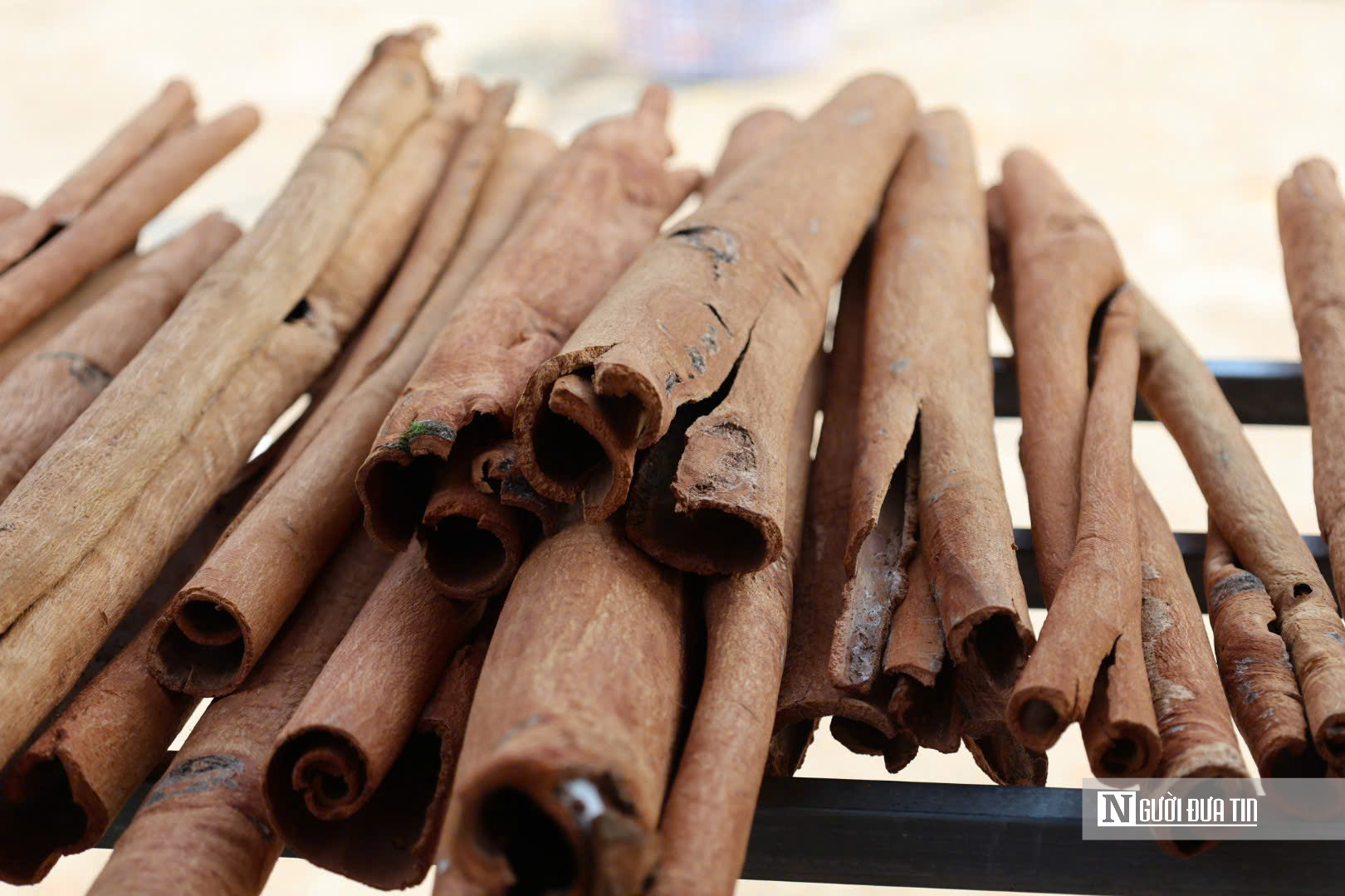 Đón “lộc rừng”, người dân miền núi Quảng Ngãi rộn ràng mùa thu hoạch- Ảnh 6.