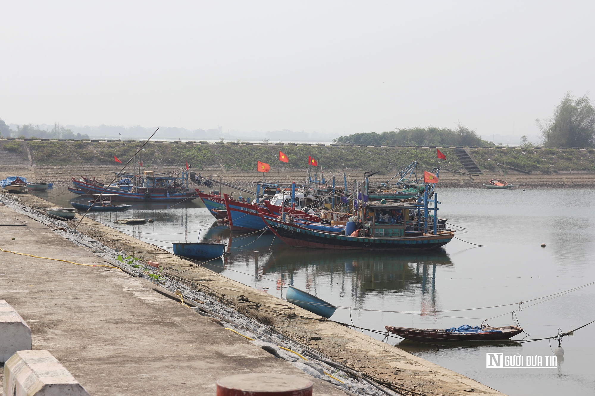 Giá xăng dầu tăng cao, hàng loạt tàu cá phải nằm bờ- Ảnh 1. Giá xăng dầu tăng cao, hàng loạt tàu cá phải nằm bờ- Ảnh 1.