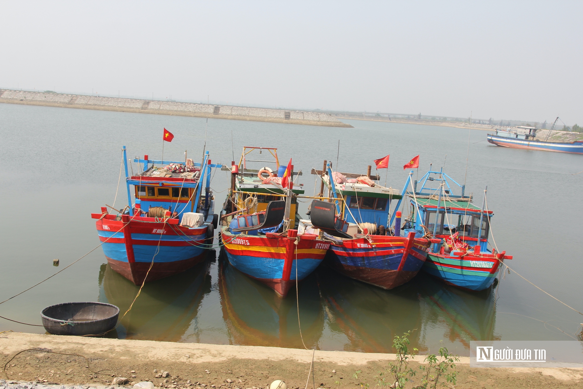 Giá xăng dầu tăng cao, hàng loạt tàu cá phải nằm bờ- Ảnh 2. Giá xăng dầu tăng cao, hàng loạt tàu cá phải nằm bờ- Ảnh 2.