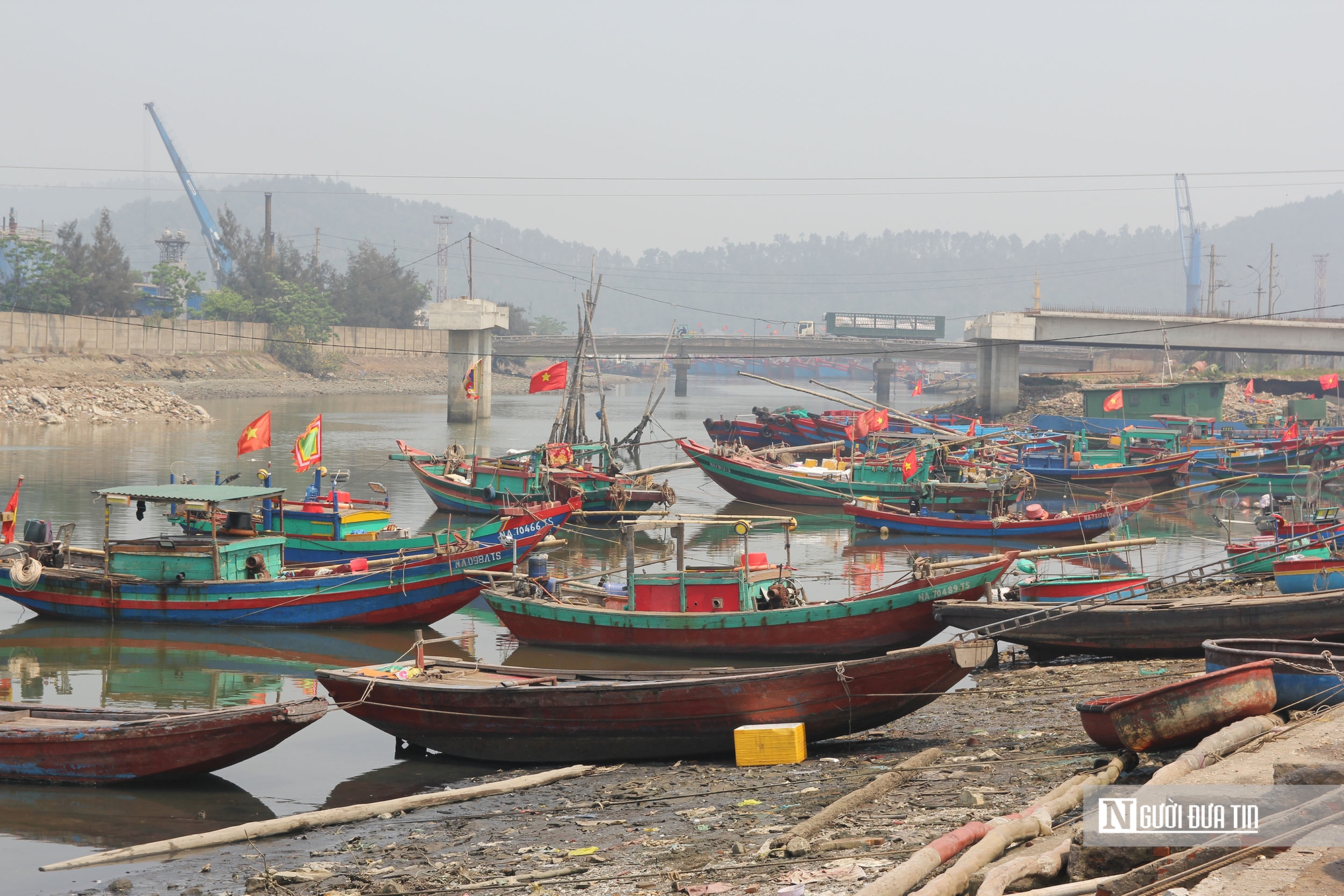 Giá xăng dầu tăng cao, hàng loạt tàu cá phải nằm bờ- Ảnh 5. Giá xăng dầu tăng cao, hàng loạt tàu cá phải nằm bờ- Ảnh 5.