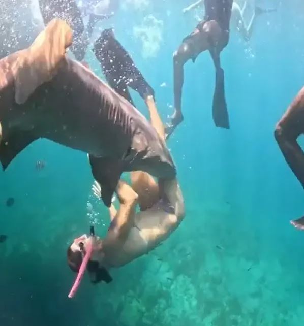 Người phụ nữ bị c&aacute; mập ngoạm v&agrave;o ch&acirc;n khi đang lặn biển - Ảnh 1.