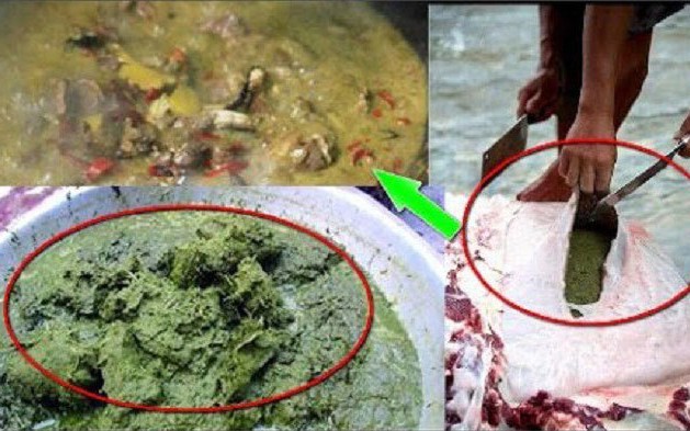 Lẩu Phân Bò: Món Ăn Độc Đáo Từ Dịch Tiêu Hóa Bò Ở Quý Châu, Trung Quốc