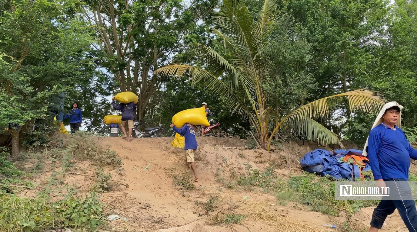 Choáng ngợp sắc vàng trải dài bất tận tại Đồng Tháp Mười  - Ảnh 13.