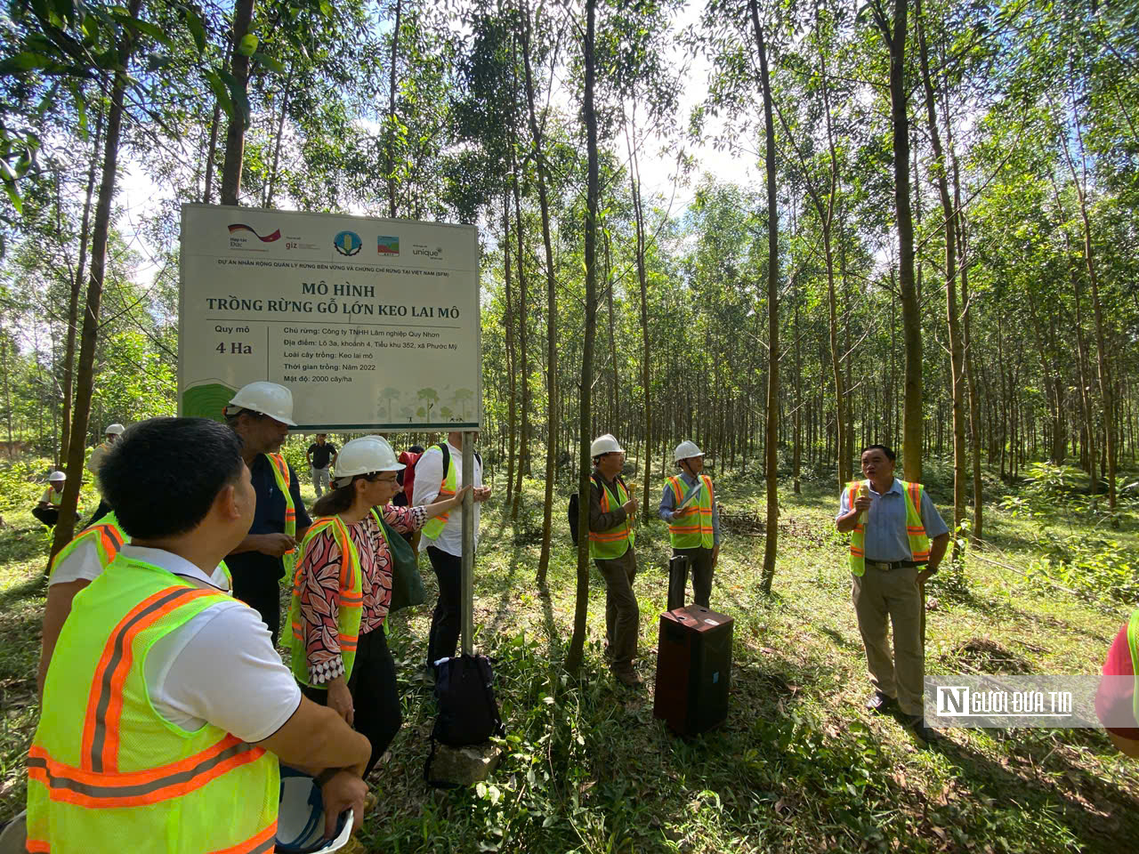 T&iacute;n chỉ carbon - "Mỏ v&agrave;ng xanh" của Gia Lai sau s&aacute;p nhập- Ảnh 10.