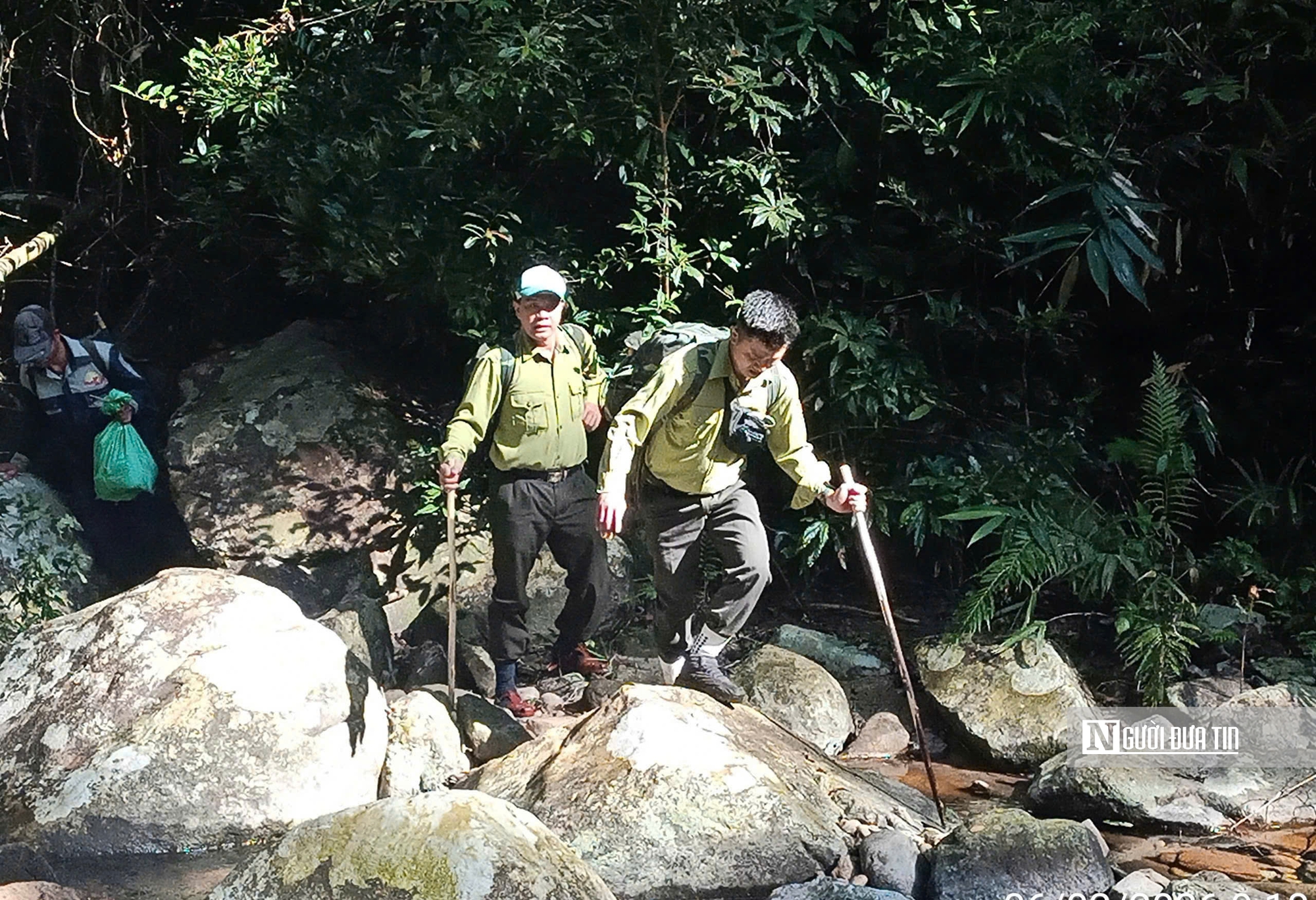 T&iacute;n chỉ carbon - "Mỏ v&agrave;ng xanh" của Gia Lai sau s&aacute;p nhập- Ảnh 11.