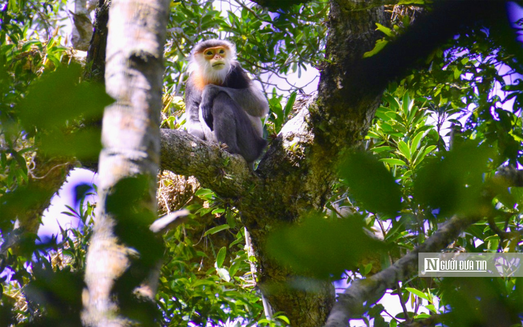Gia Lai: B&agrave;i to&aacute;n giảm ngh&egrave;o bền vững song h&agrave;nh với mục ti&ecirc;u tăng trưởng 2 con số trong giai đoạn mới - Ảnh 1.