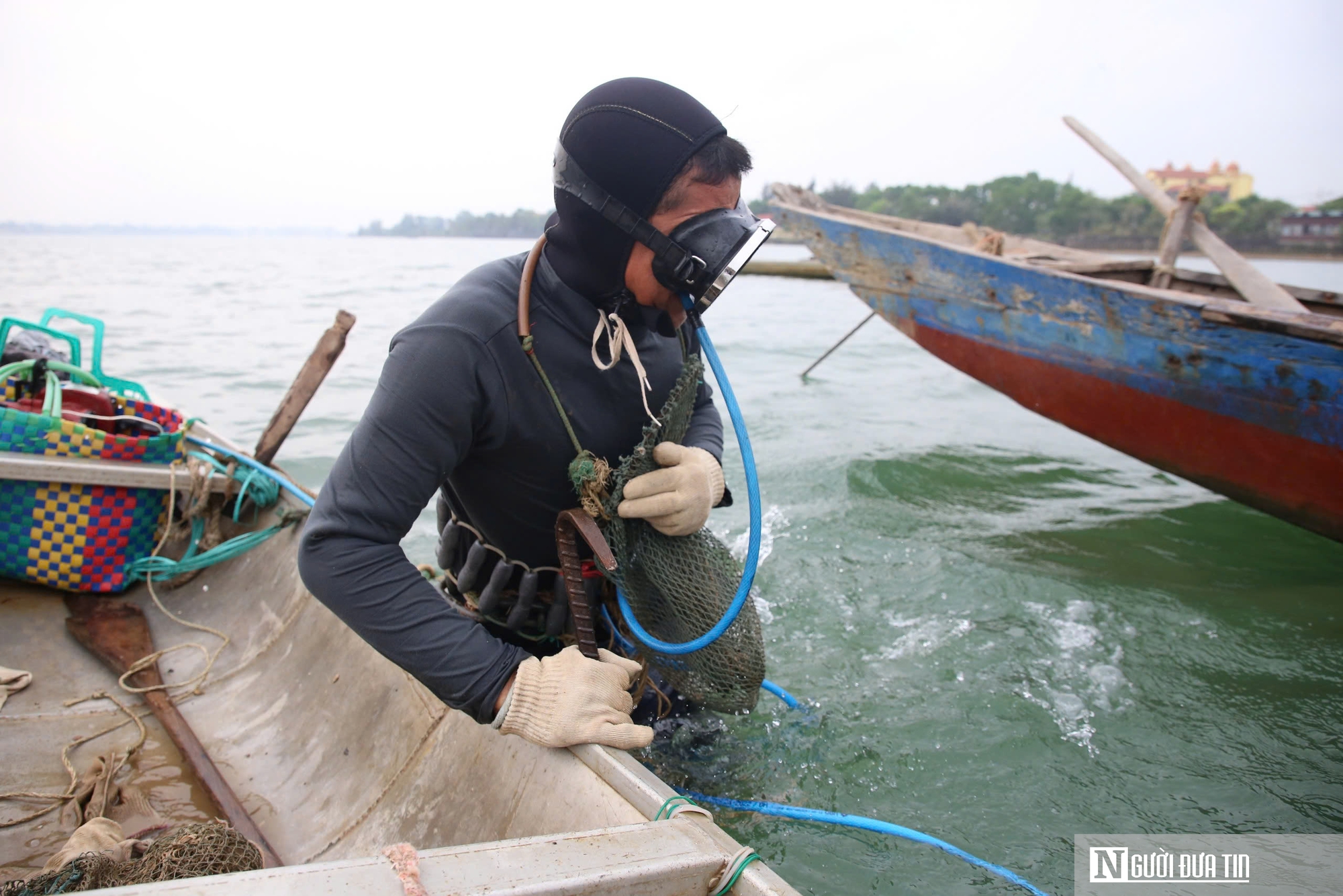 Nghề nguy hiểm lặn bắt loài nhiễm thể dưới đáy sông, ngon nức tiếng ở Quảng Trị- Ảnh 4. Nghề nguy hiểm lặn bắt loài nhiễm thể dưới đáy sông, ngon nức tiếng ở Quảng Trị- Ảnh 4.
