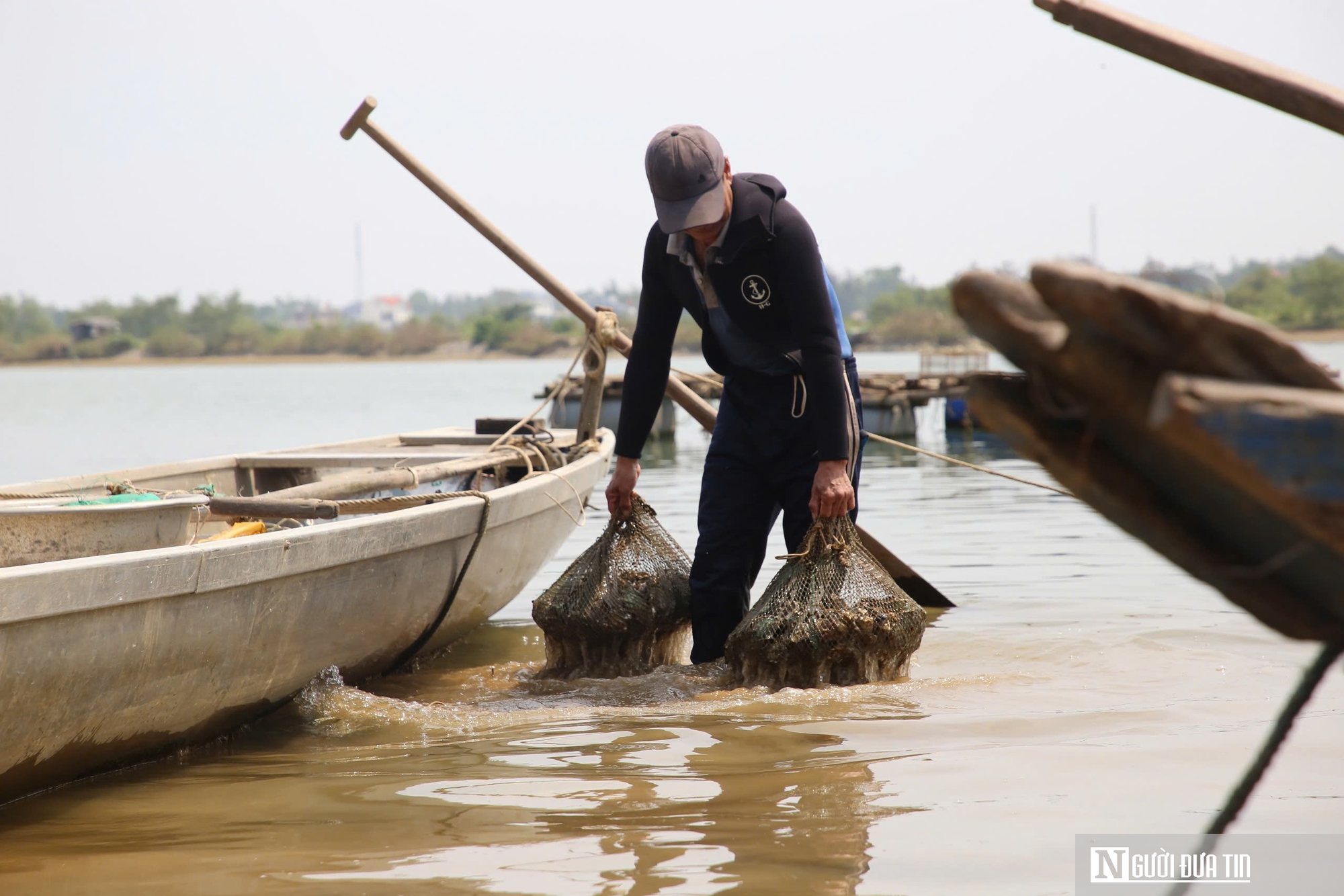 Nghề nguy hiểm lặn bắt loài nhiễm thể dưới đáy sông, ngon nức tiếng ở Quảng Trị- Ảnh 8. Nghề nguy hiểm lặn bắt loài nhiễm thể dưới đáy sông, ngon nức tiếng ở Quảng Trị- Ảnh 8.