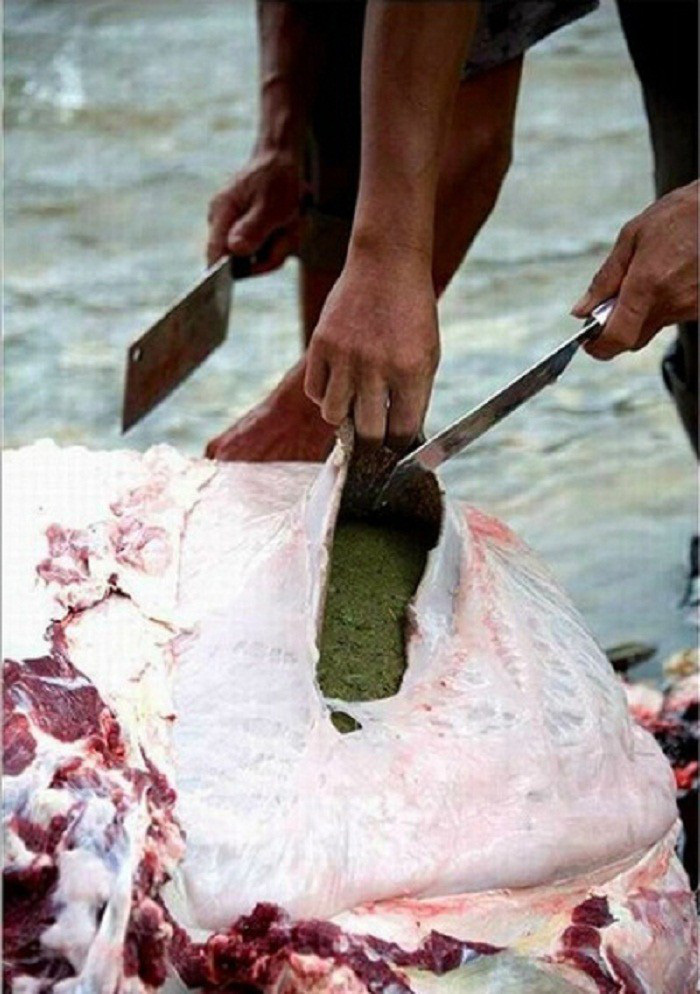 Đặc sản nghe t&ecirc;n &ldquo;mất vệ sinh&rdquo; khiến nhiều người r&ugrave;ng m&igrave;nh lại được xem l&agrave; m&oacute;n ngon thượng hạng - Ảnh 2.