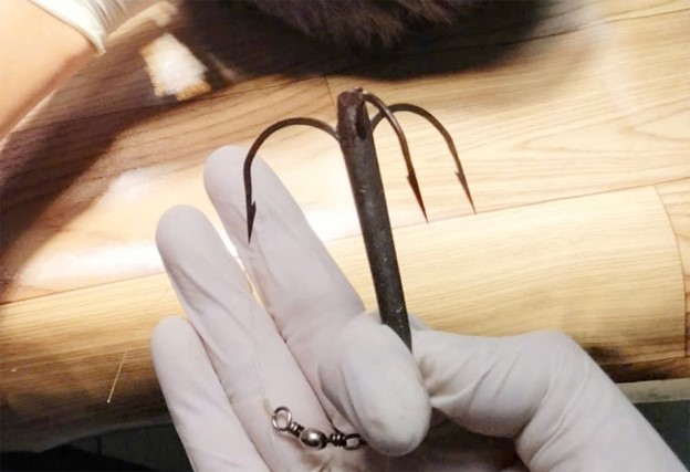 Thiếu ni&ecirc;n bị lưỡi c&acirc;u 3 ti&ecirc;u cắm v&agrave;o đỉnh đầu - Ảnh 2.