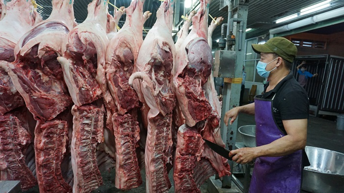 Tp.HCM: Tăng cường kiểm dịch, kiểm soát giết mổ động vật - Ảnh 1.