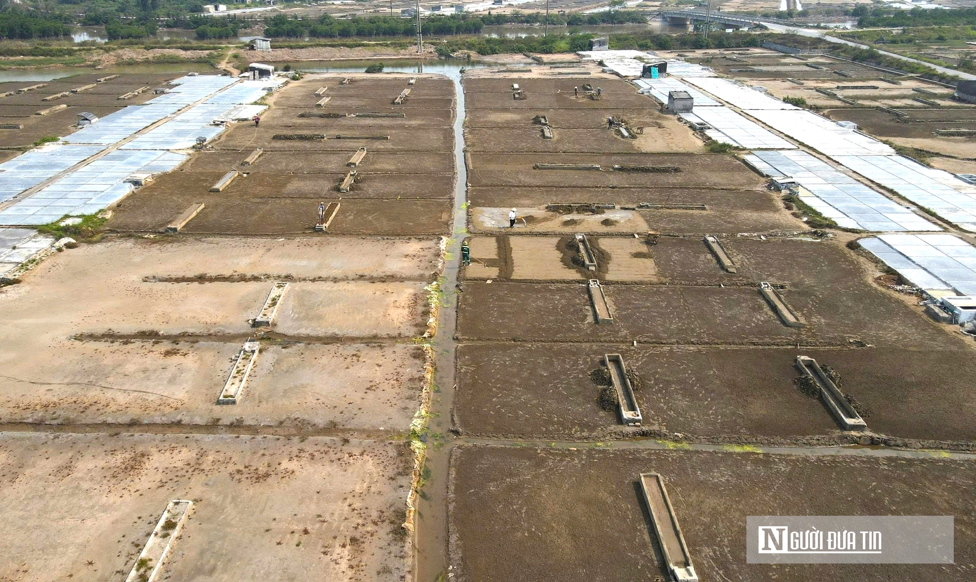 Nắng như &ldquo;r&oacute;t lửa&rdquo;, người d&acirc;n phơi m&igrave;nh dưới mặt trời sản xuất &ldquo;v&agrave;ng trắng&rdquo;- Ảnh 14.