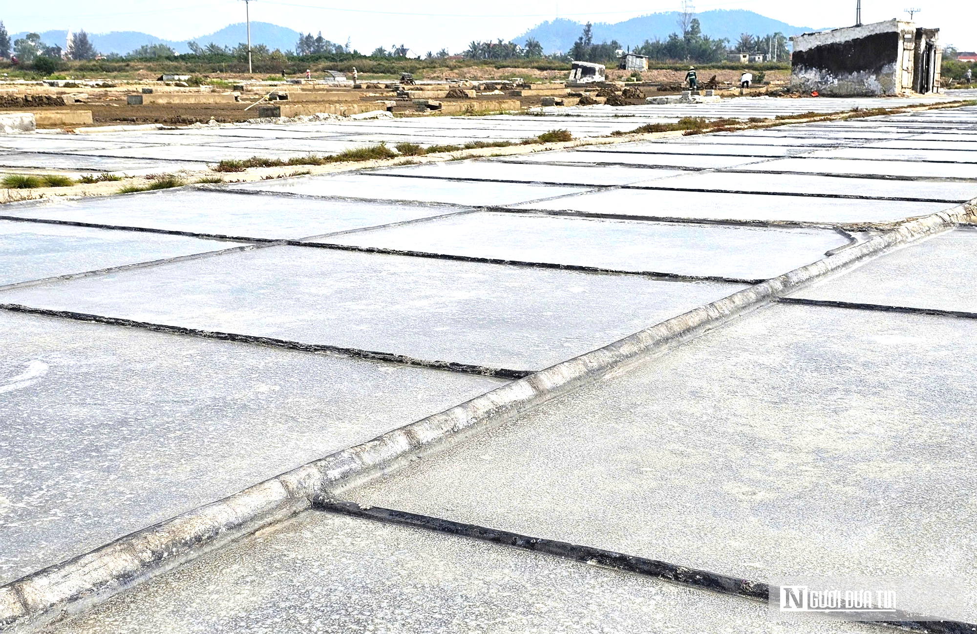 Nắng như &ldquo;r&oacute;t lửa&rdquo;, người d&acirc;n phơi m&igrave;nh dưới mặt trời sản xuất &ldquo;v&agrave;ng trắng&rdquo;- Ảnh 2.