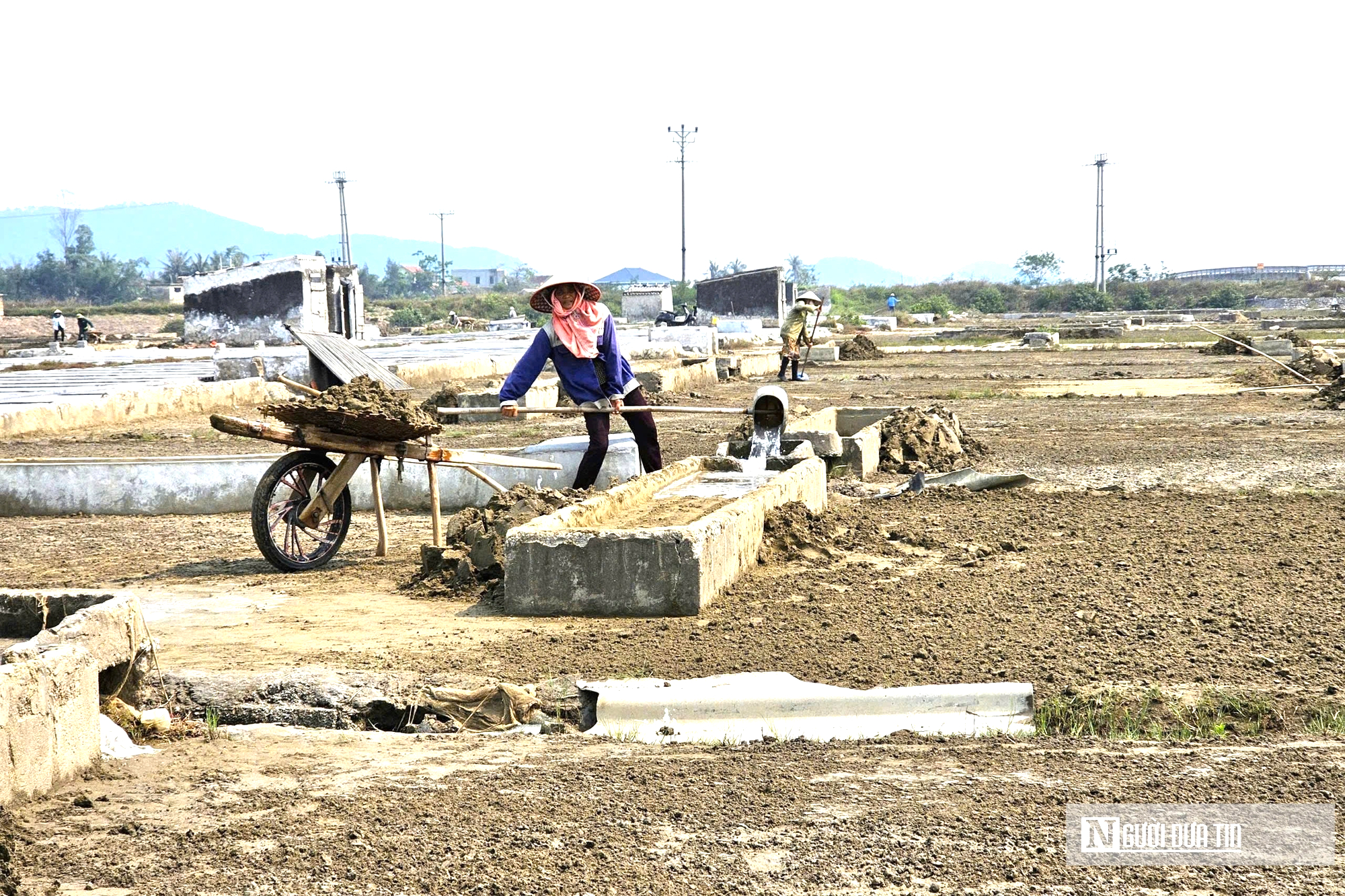 Nắng như &ldquo;r&oacute;t lửa&rdquo;, người d&acirc;n phơi m&igrave;nh dưới mặt trời sản xuất &ldquo;v&agrave;ng trắng&rdquo;- Ảnh 3.