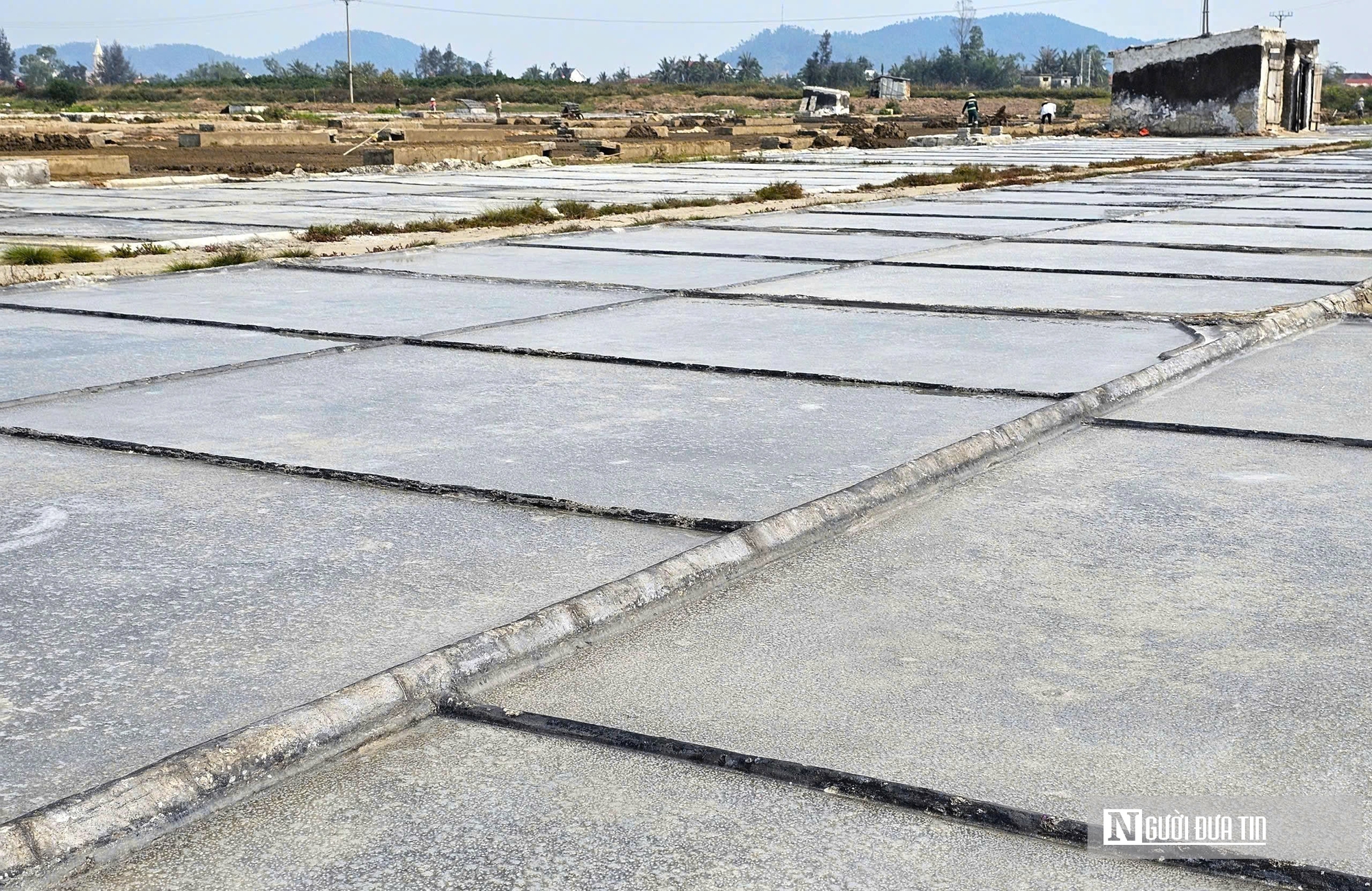 Nắng như &ldquo;r&oacute;t lửa&rdquo;, người d&acirc;n phơi m&igrave;nh dưới mặt trời sản xuất &ldquo;v&agrave;ng trắng&rdquo;- Ảnh 6.