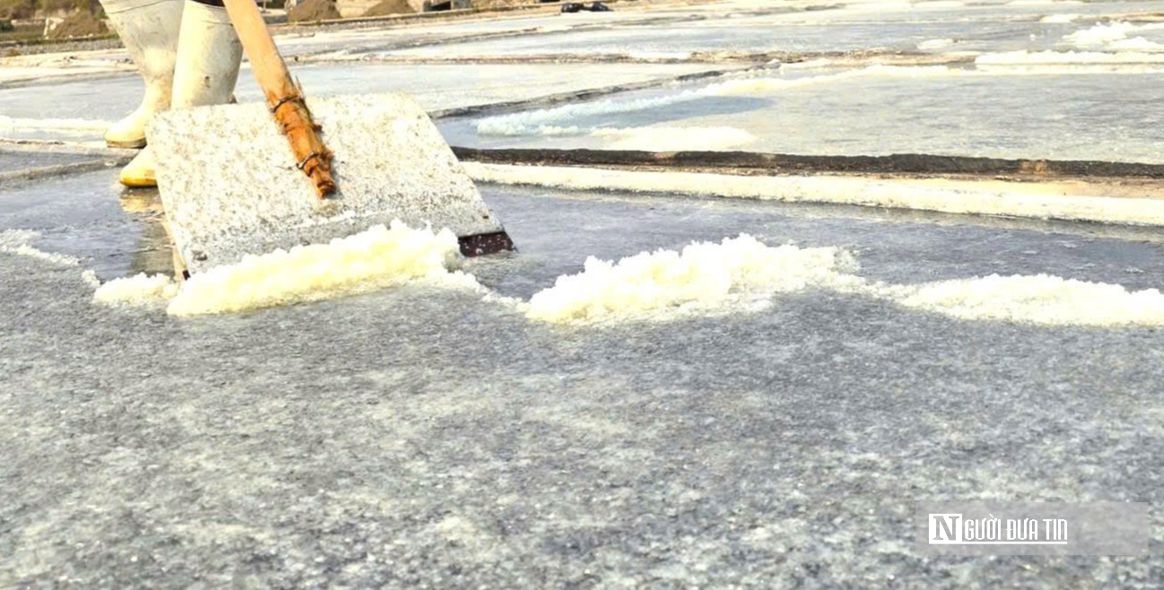 Nắng như &ldquo;r&oacute;t lửa&rdquo;, người d&acirc;n phơi m&igrave;nh dưới mặt trời sản xuất &ldquo;v&agrave;ng trắng&rdquo;- Ảnh 7.