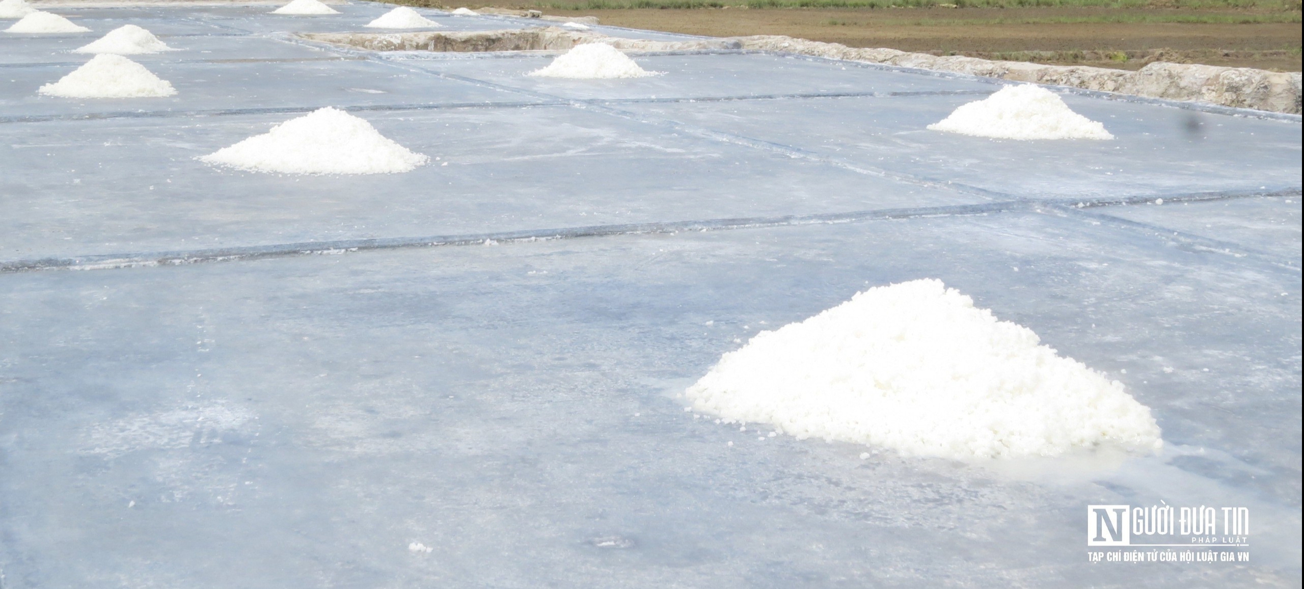 Nắng như &ldquo;r&oacute;t lửa&rdquo;, người d&acirc;n phơi m&igrave;nh dưới mặt trời sản xuất &ldquo;v&agrave;ng trắng&rdquo;- Ảnh 9.