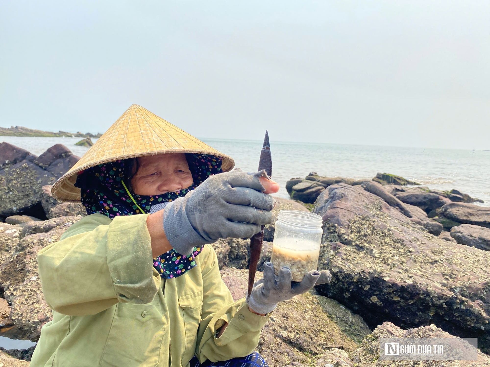 Độc đ&aacute;o nghề đục đ&aacute; "h&aacute;i ra tiền" của những người phụ nữ v&ugrave;ng biển - Ảnh 7.