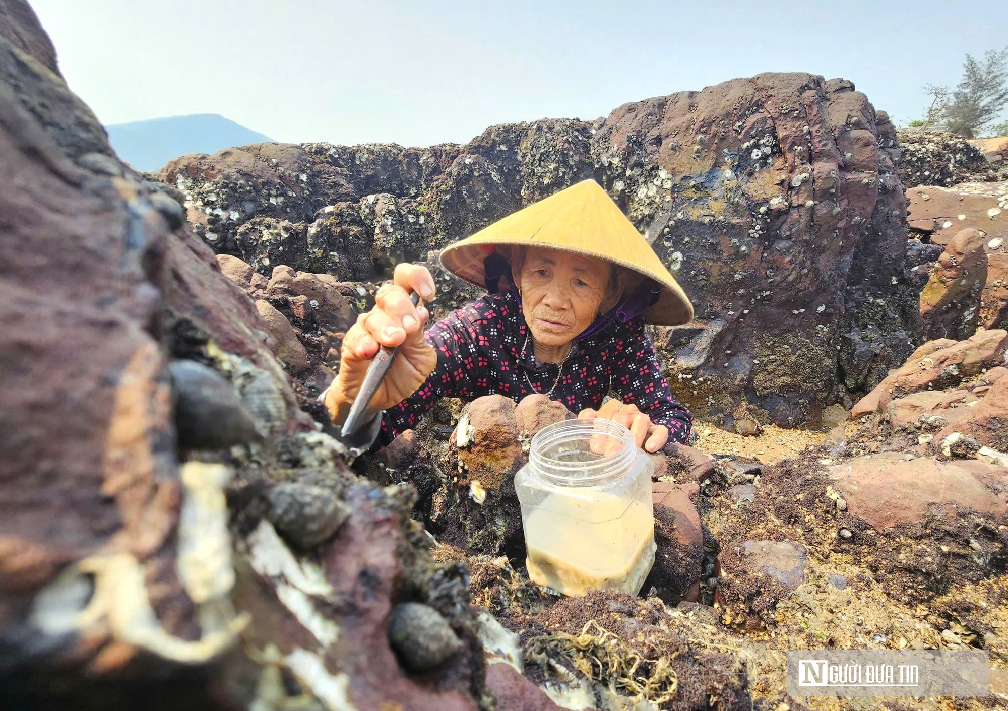 Độc đ&aacute;o nghề đục đ&aacute; "h&aacute;i ra tiền" của những người phụ nữ v&ugrave;ng biển - Ảnh 8.