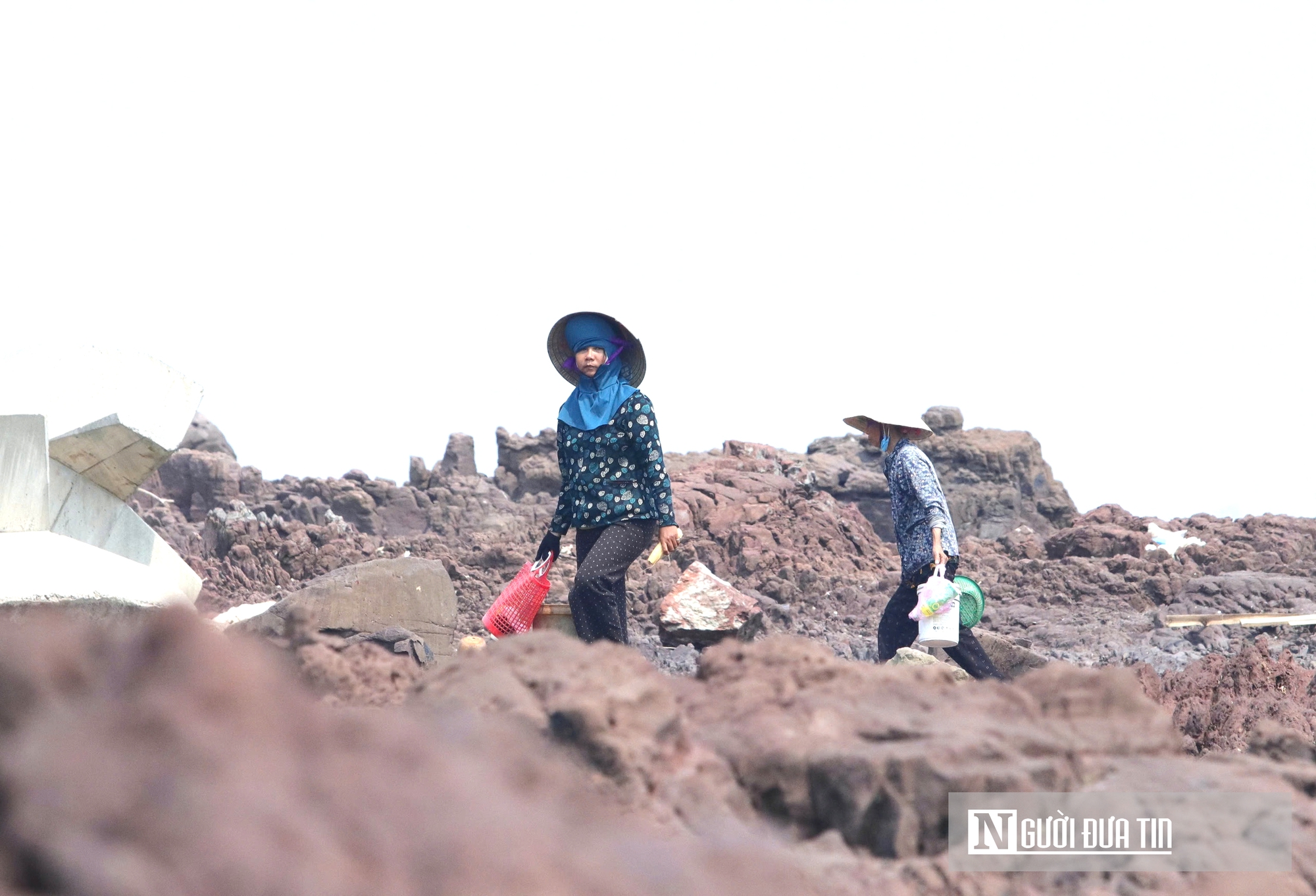 Độc đ&aacute;o nghề đục đ&aacute; "h&aacute;i ra tiền" của những người phụ nữ v&ugrave;ng biển - Ảnh 9.