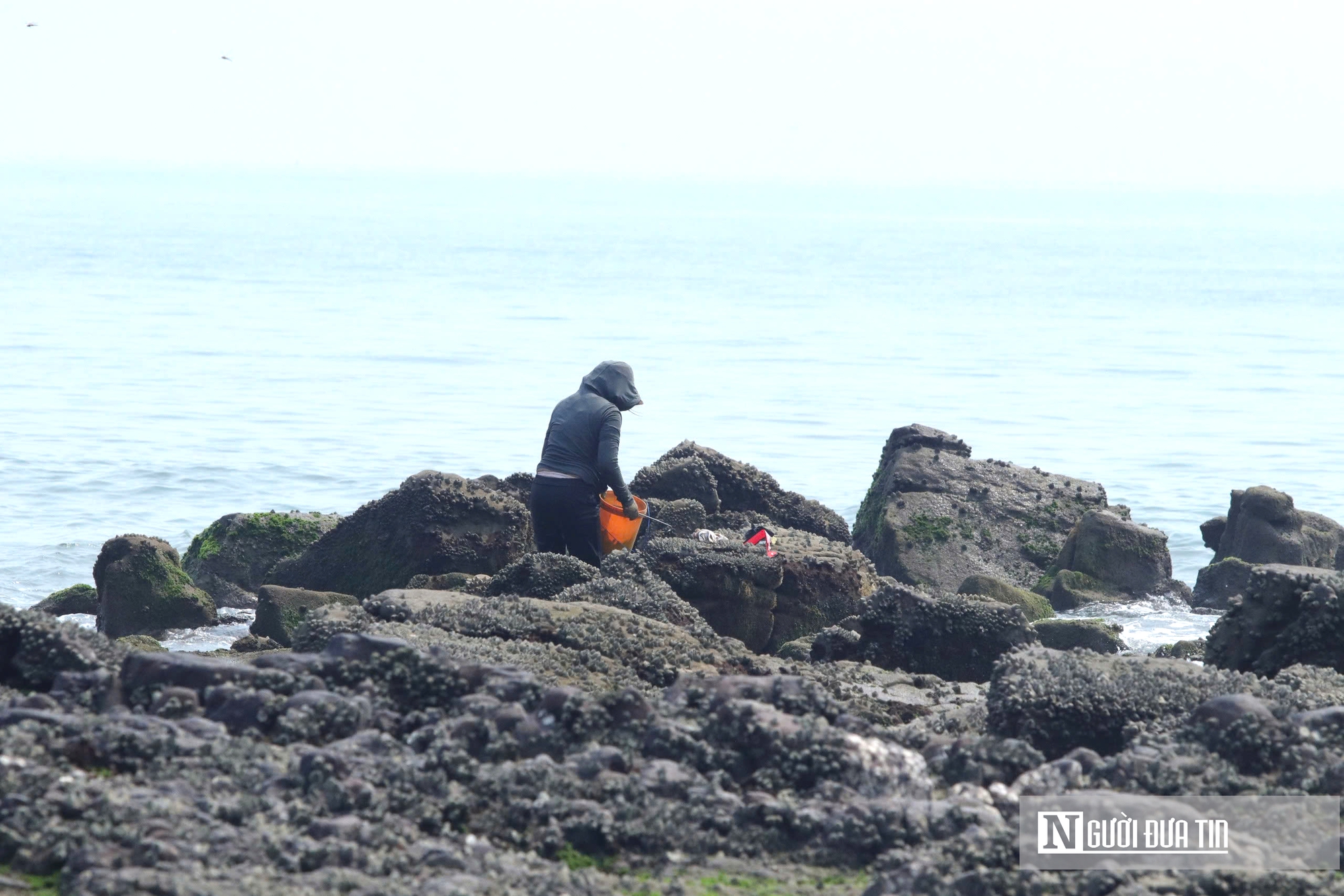 Độc đ&aacute;o nghề đục đ&aacute; "h&aacute;i ra tiền" của những người phụ nữ v&ugrave;ng biển - Ảnh 13.