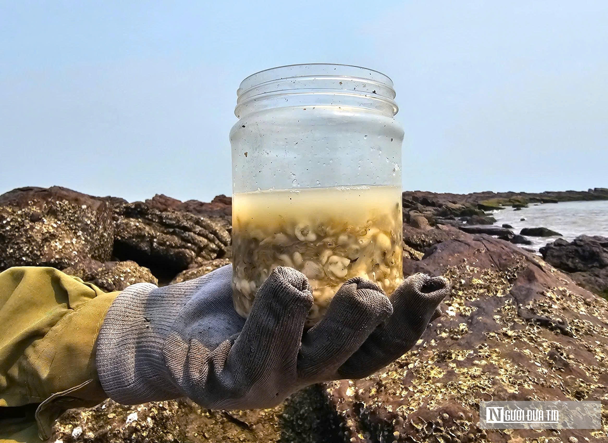 Độc đ&aacute;o nghề đục đ&aacute; "h&aacute;i ra tiền" của những người phụ nữ v&ugrave;ng biển - Ảnh 11.