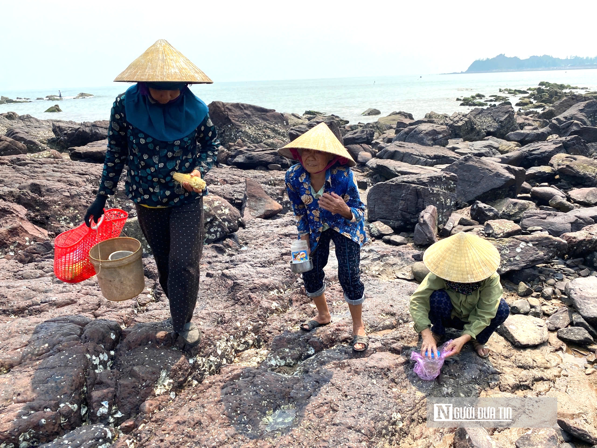 Độc đ&aacute;o nghề đục đ&aacute; "h&aacute;i ra tiền" của những người phụ nữ v&ugrave;ng biển - Ảnh 14.