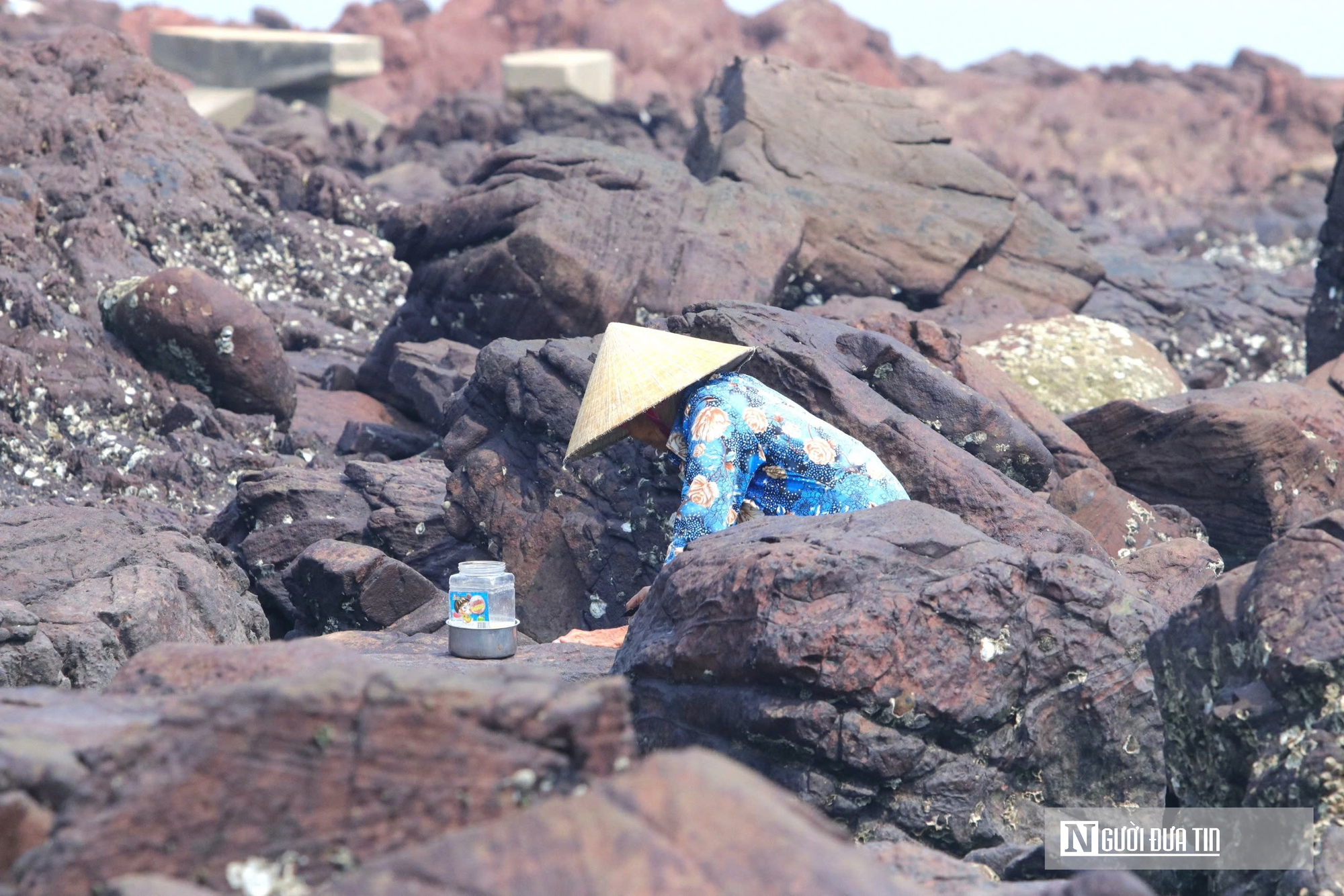 Độc đ&aacute;o nghề đục đ&aacute; "h&aacute;i ra tiền" của những người phụ nữ v&ugrave;ng biển - Ảnh 2.