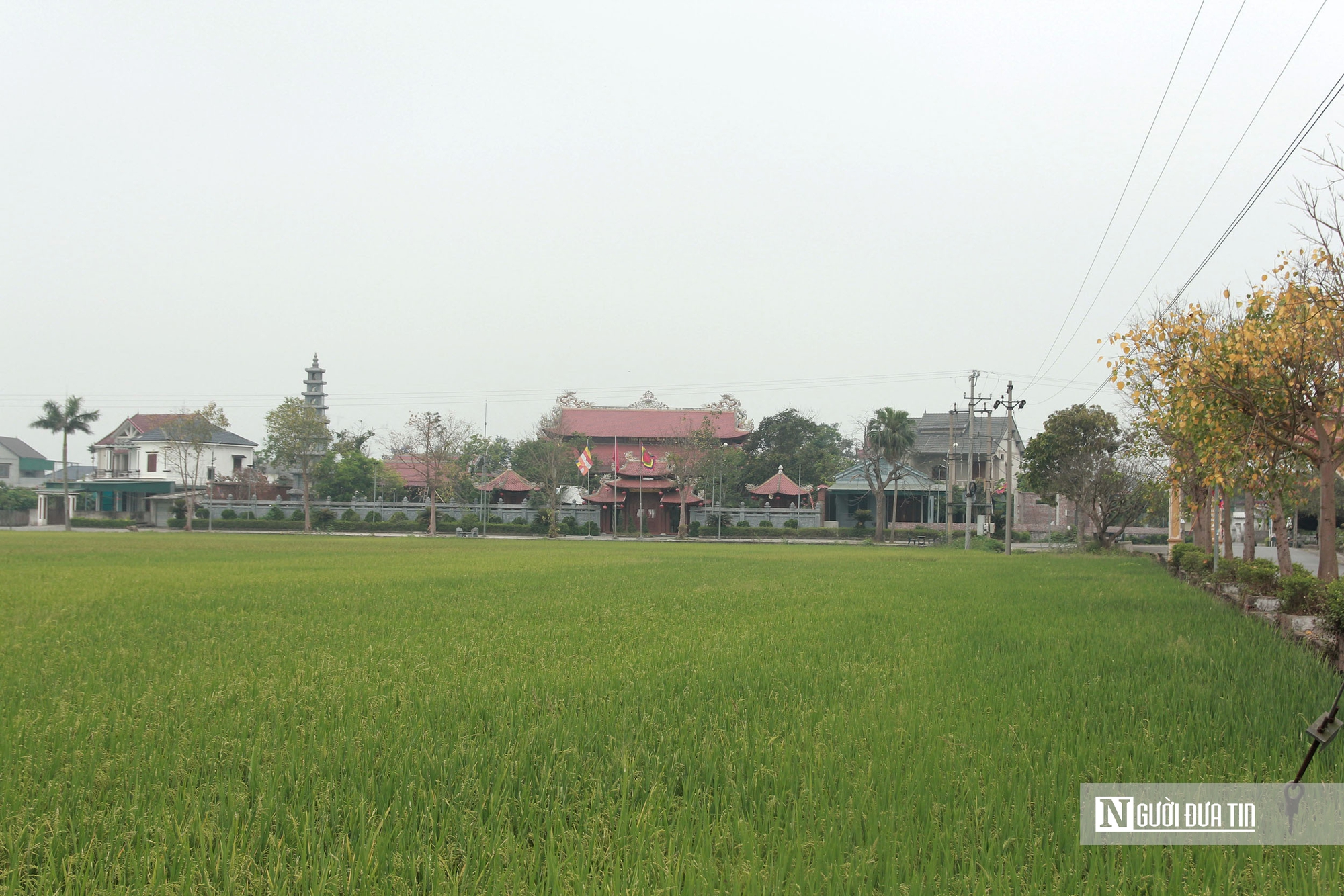 Mục sở thị những pho tượng d&aacute;t v&agrave;ng tại ng&ocirc;i đền giữa l&agrave;ng qu&ecirc; H&agrave; Tĩnh- Ảnh 1.