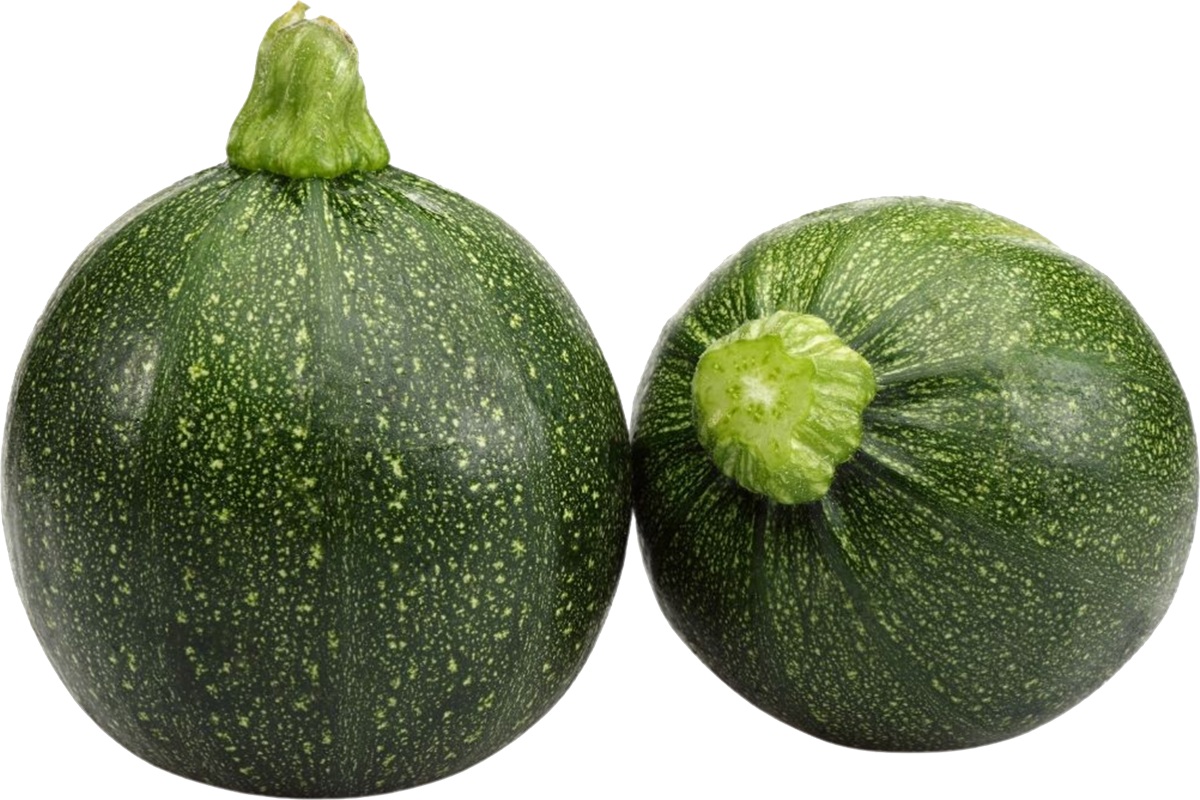 Đừng chỉ ăn lá, quả cây này 