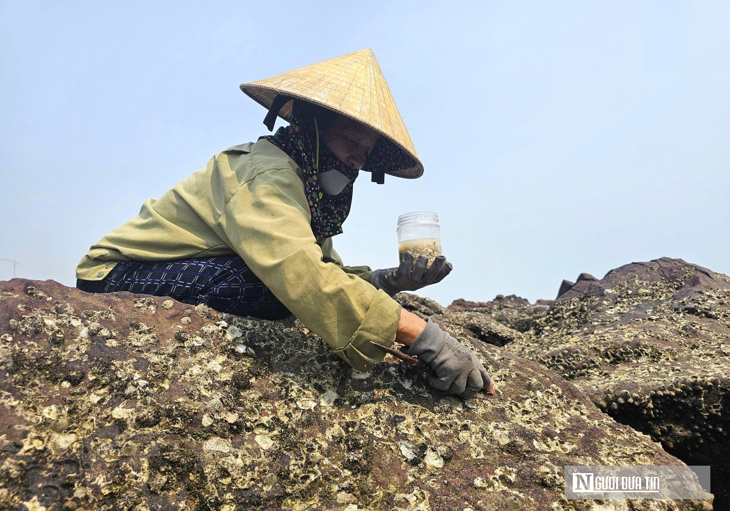 Độc đ&aacute;o nghề đục đ&aacute; "h&aacute;i ra tiền" của những người phụ nữ v&ugrave;ng biển - Ảnh 10.