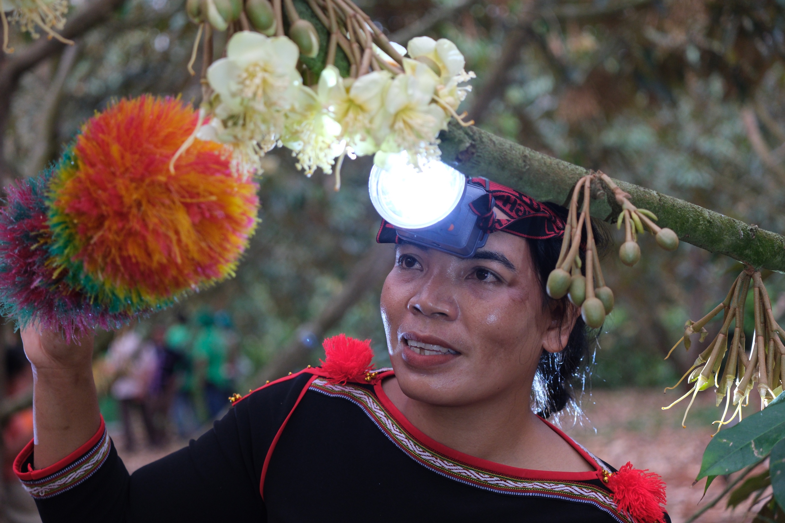 Phú Mỹ đồng hành Lễ hội sầu riêng Đắk Lắk 2026: Khởi đầu từ hoạt động thụ phấn hoa - Ảnh 1.