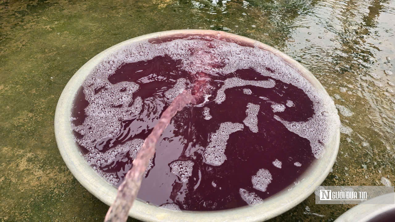 Thanh Hóa: Xác định nguồn thải khiến nước giếng khoan có màu tím, bốc mùi hôi tanh- Ảnh 2. Thanh Hóa: Xác định nguồn thải khiến nước giếng khoan có màu tím, bốc mùi hôi tanh- Ảnh 2.