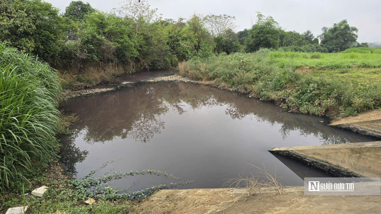 Thanh Hóa: Xác định nguồn thải khiến nước giếng khoan có màu tím, bốc mùi hôi tanh- Ảnh 3. Thanh Hóa: Xác định nguồn thải khiến nước giếng khoan có màu tím, bốc mùi hôi tanh- Ảnh 3.