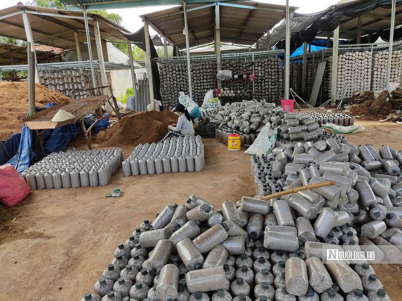 Gia Lai: B&agrave;i to&aacute;n giảm ngh&egrave;o bền vững song h&agrave;nh với mục ti&ecirc;u tăng trưởng 2 con số trong giai đoạn mới - Ảnh 1.