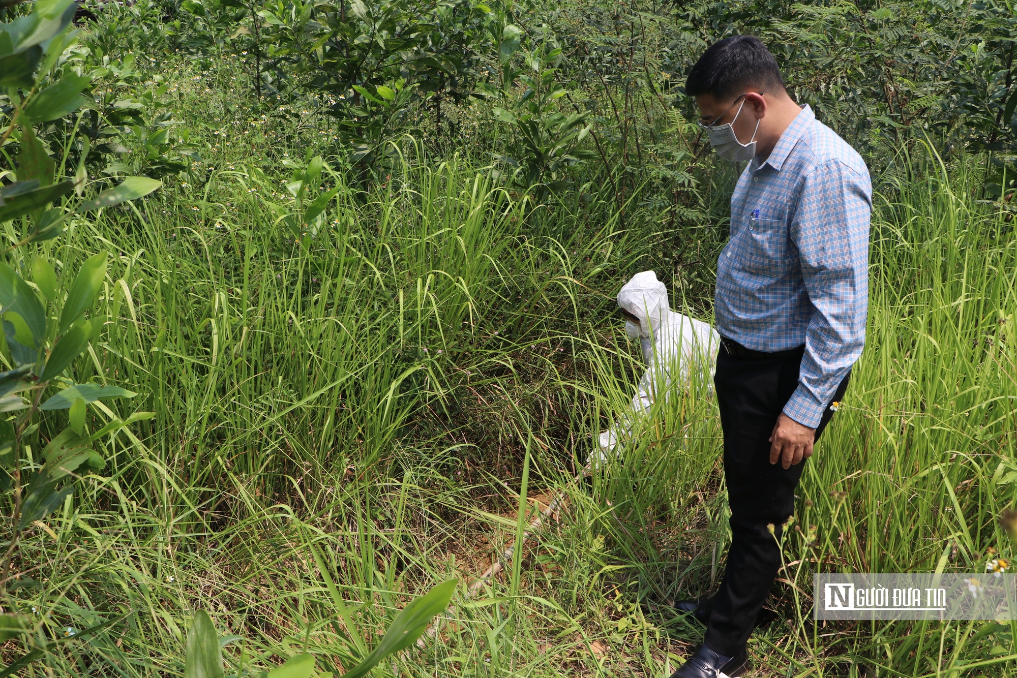Quảng Ng&atilde;i khẩn trương khoanh v&ugrave;ng, kiểm so&aacute;t nguy cơ dịch dại sau vụ ch&oacute; tấn c&ocirc;ng nhiều người- Ảnh 2.