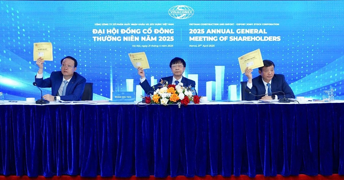 Vinaconex trước thềm ĐHĐCĐ: Hành trình nhiều thăng trầm và những câu hỏi lớn về chiến lược mới - Ảnh 2.