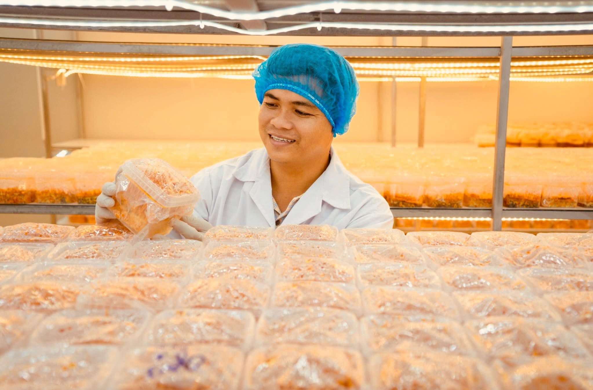 Chàng thạc sĩ bỏ phố về quê, bắt đầu khởi nghiệp bằng loài nấm 