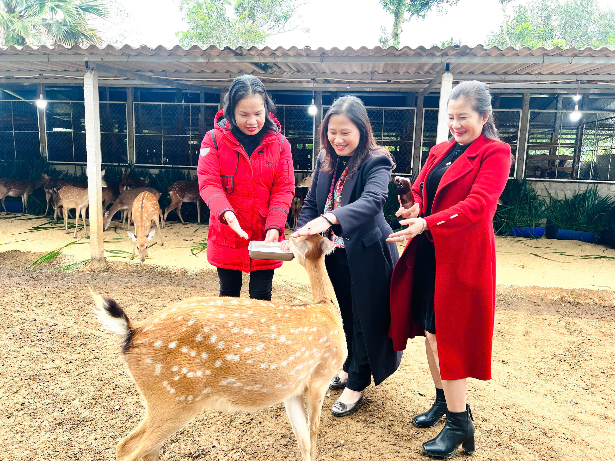 Sơn Giang khơi dậy nội lực, bứt phá từ kinh tế nông thôn - Ảnh 3.