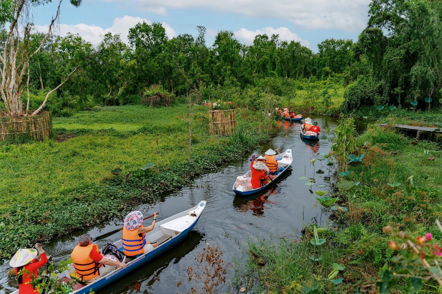 Trà Sư: Bản giao hưởng diệp lục giữa miền Tây huyền tích- Ảnh 5.
