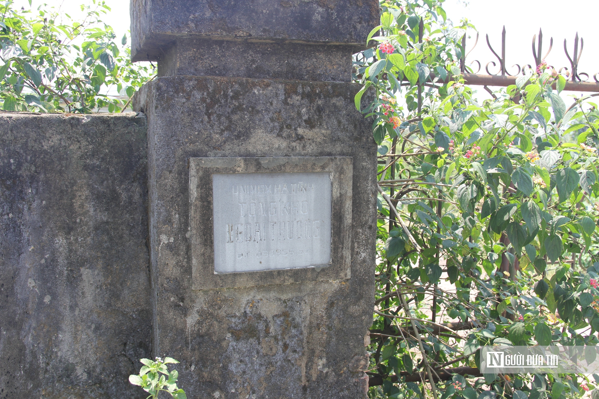 Cận cảnh khu đất v&agrave;ng bỏ hoang, g&acirc;y l&atilde;ng ph&iacute; t&agrave;i nguy&ecirc;n, mất mỹ quan đ&ocirc; thị - Ảnh 2.