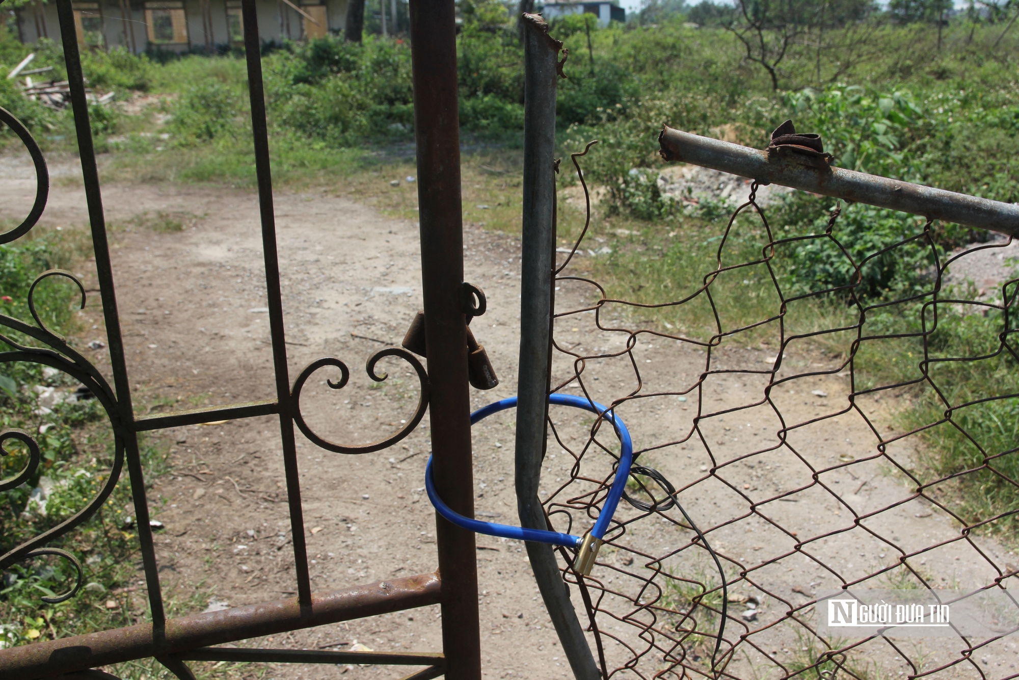 Cận cảnh khu đất v&agrave;ng bỏ hoang, g&acirc;y l&atilde;ng ph&iacute; t&agrave;i nguy&ecirc;n, mất mỹ quan đ&ocirc; thị - Ảnh 3.