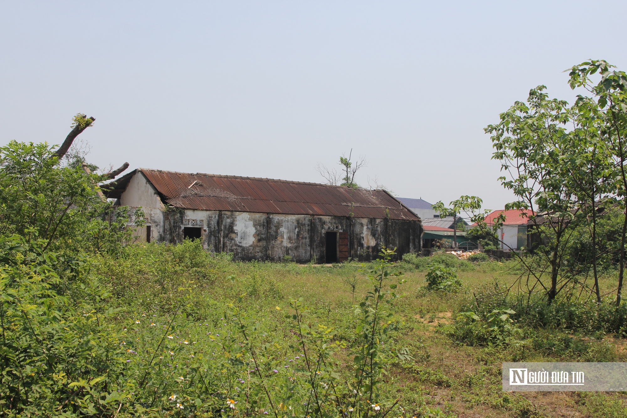 Cận cảnh khu đất v&agrave;ng bỏ hoang, g&acirc;y l&atilde;ng ph&iacute; t&agrave;i nguy&ecirc;n, mất mỹ quan đ&ocirc; thị - Ảnh 5.