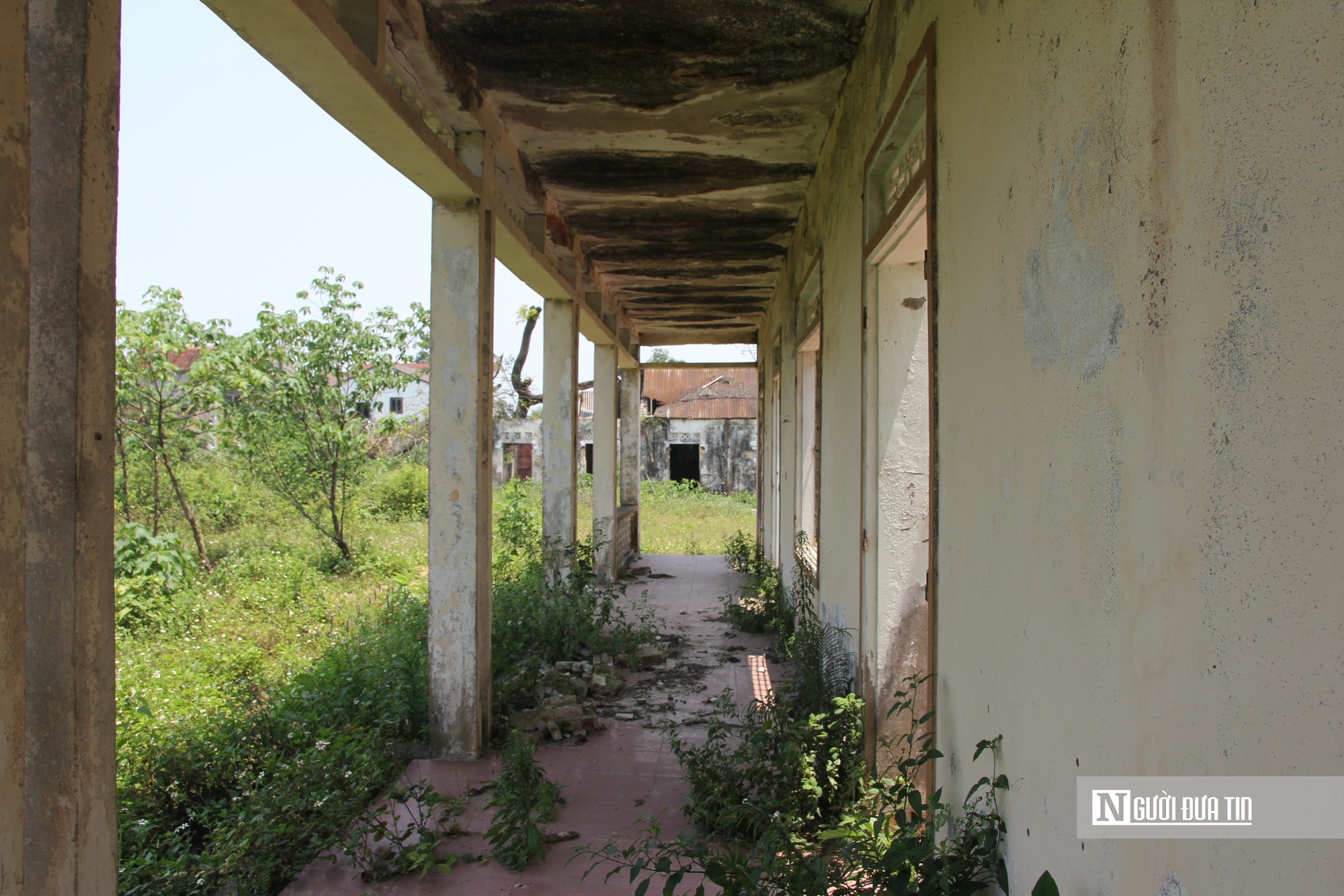 Cận cảnh khu đất v&agrave;ng bỏ hoang, g&acirc;y l&atilde;ng ph&iacute; t&agrave;i nguy&ecirc;n, mất mỹ quan đ&ocirc; thị - Ảnh 10.